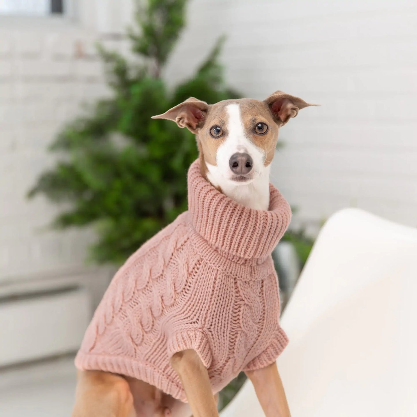 Snuggly Chalet Pet Sweater