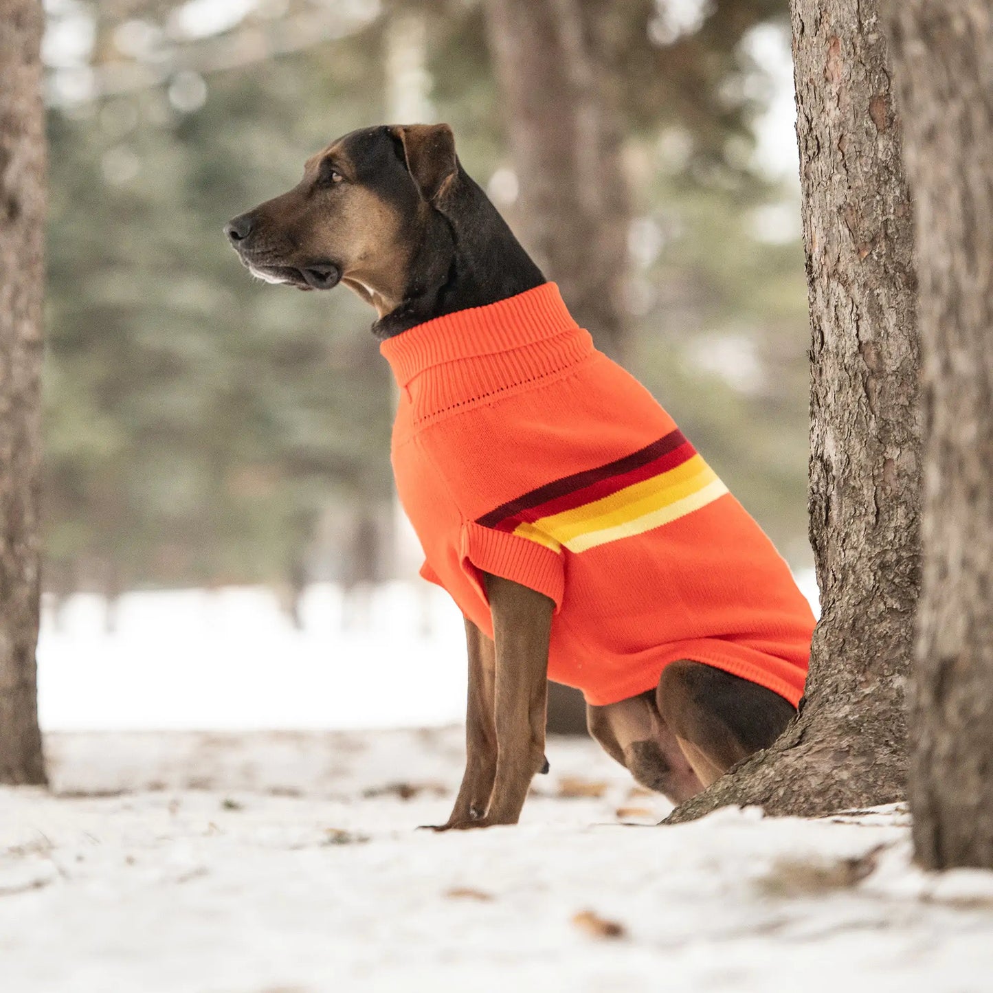 Retro Sweater - Orange