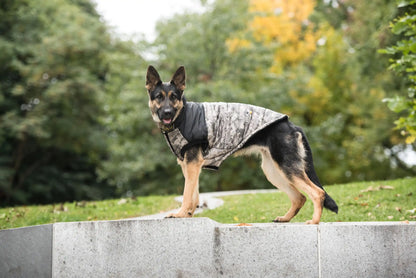 Army Dog Jacket - Camo